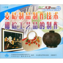 麦秸制品与椰棕工艺品制作技术 经营管理培训指南